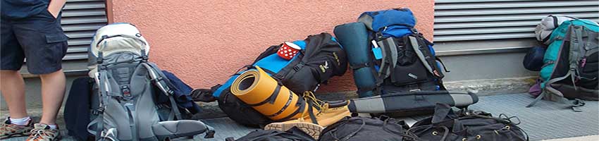 Employing backpackers – be a fair employer and stay on the right side of the law