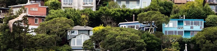Tree disputes with neighbours best resolved by mediation