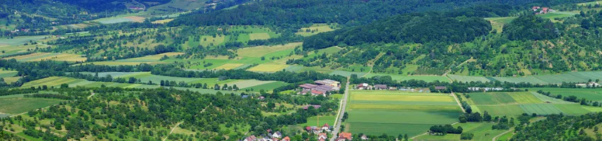 Could a land owner terminate his option agreement with a developer because of delay by the developer? Which case won?