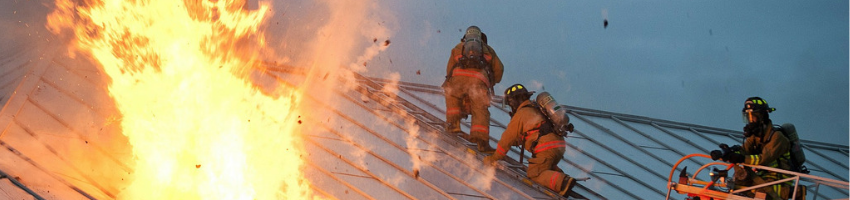Should the insurance company have to pay up after a fire in a brothel? Which case won?