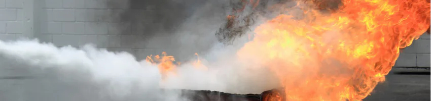 Illegal phoenix activity – government determined to expand crackdown efforts