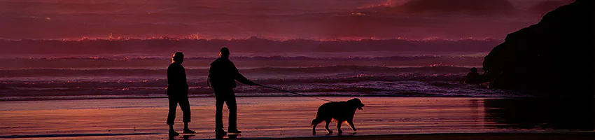 Voluntary superannuation contributions from downsizing an opportunity for over 65s