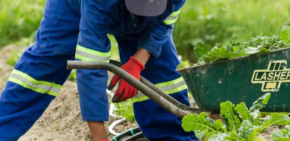 TPD, total and permanent disability, workers comp, workers compensation, worker, employee, employer, injury, injured worker, payout, insurer, insurance, back injury, chiropractor, superannuation, Superannuation Complaints Tribunal