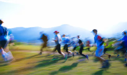 brain injury, collision, athlete, para-athlete, triathlon, duathlon, injury, competitor, able-bodied, wheelchair, racing wheelchair, risk, risk assessment, duty of care, obvious risk, inherent risk, negligence, negligent, liable, compensation