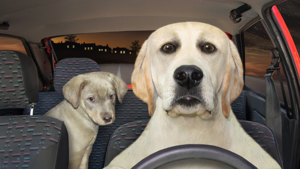 Driverless cars are coming – but whose fault will it be when they crash ...