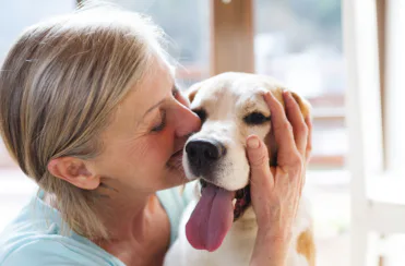 pet, animal, companion animal, deceased estate, will, foundation, trust, trustee, animal charity