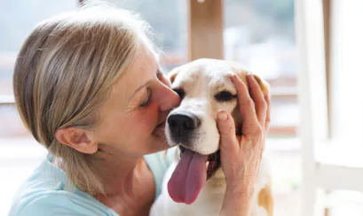 pet, animal, companion animal, deceased estate, will, foundation, trust, trustee, animal charity