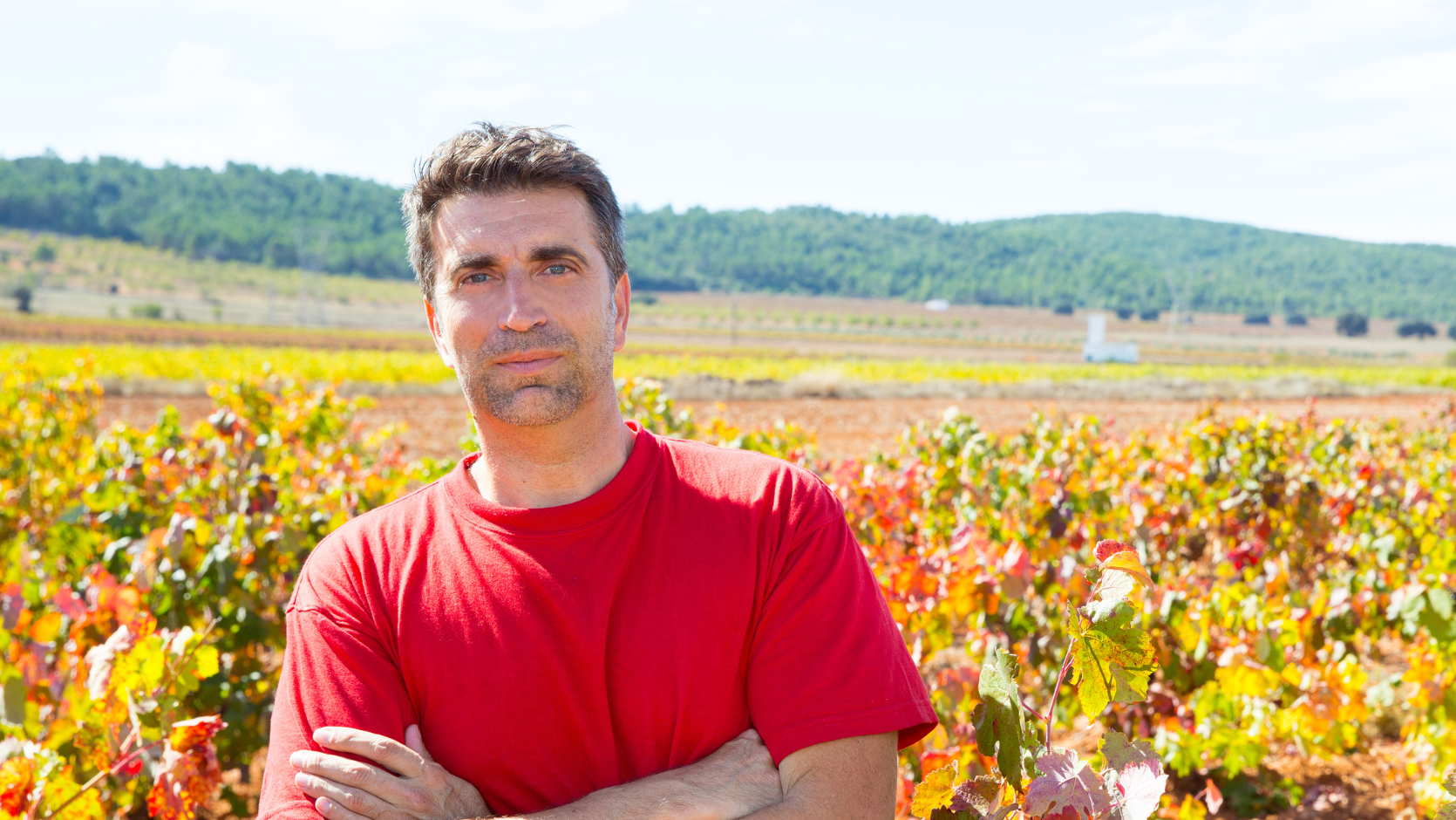 Promissory estoppel: “One day all this will be yours…” – which case won?