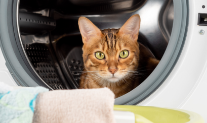 AML/CTF, AML, CTF, anti money laundering, counter terrorism financing, AUSTRAC, bank, casino, financial institution, financial crime, tranche 1, tranche 2, risk, suspicious, gambling, remittance, digital currency exchange, illicit funds, crime, corruption, rule of law